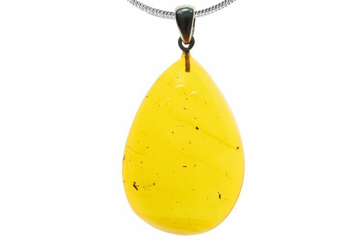 Polished Baltic Amber Pendant (Necklace) - Contains Fly! #339475